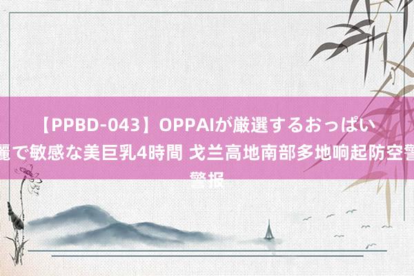 【PPBD-043】OPPAIが厳選するおっぱい 綺麗で敏感な美巨乳4時間 戈兰高地南部多地响起防空警报