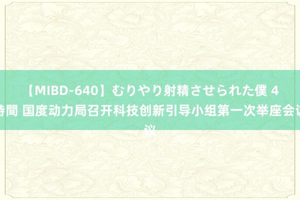 【MIBD-640】むりやり射精させられた僕 4時間 国度动力局召开科技创新引导小组第一次举座会议