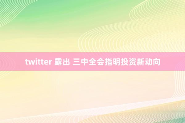 twitter 露出 三中全会指明投资新动向