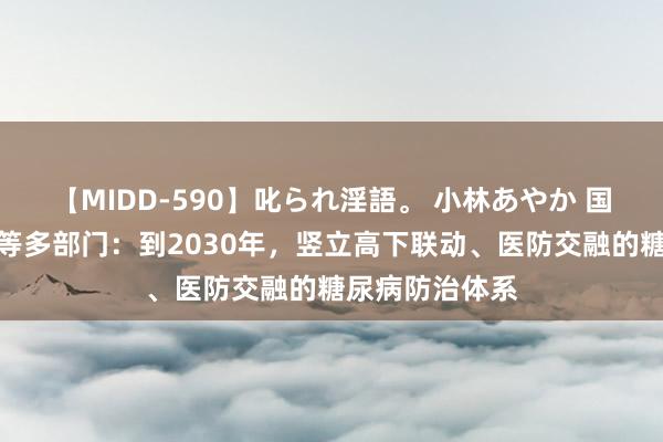 【MIDD-590】叱られ淫語。 小林あやか 国度卫生健康委等多部门：到2030年，竖立高下联动、医防交融的糖尿病防治体系