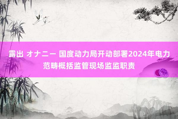 露出 オナニー 国度动力局开动部署2024年电力范畴概括监管现场监监职责