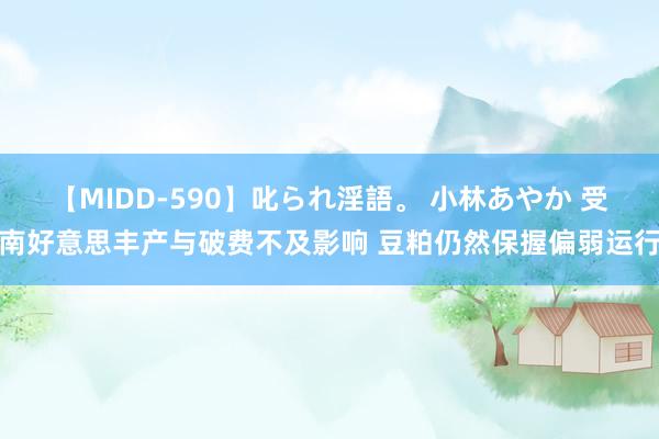 【MIDD-590】叱られ淫語。 小林あやか 受南好意思丰产与破费不及影响 豆粕仍然保握偏弱运行