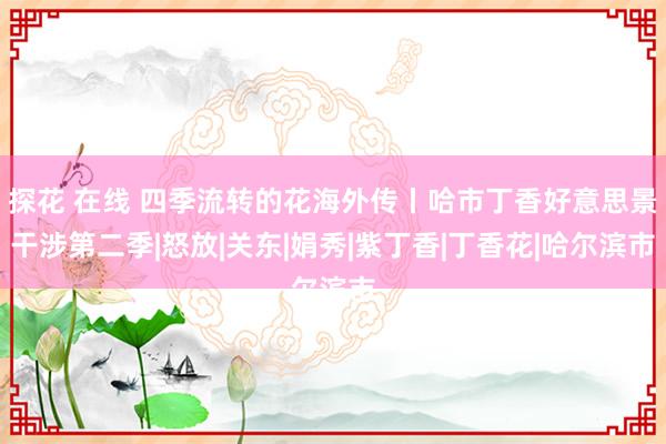 探花 在线 四季流转的花海外传丨哈市丁香好意思景干涉第二季|怒放|关东|娟秀|紫丁香|丁香花|哈尔滨市